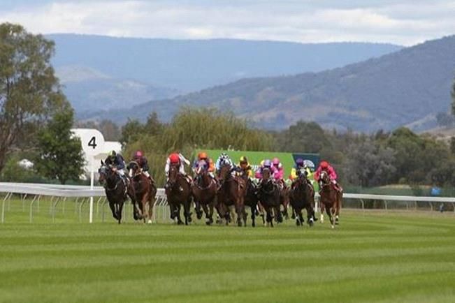 16 slated for a crack at Albury Country Championships Qualifier - Racenet