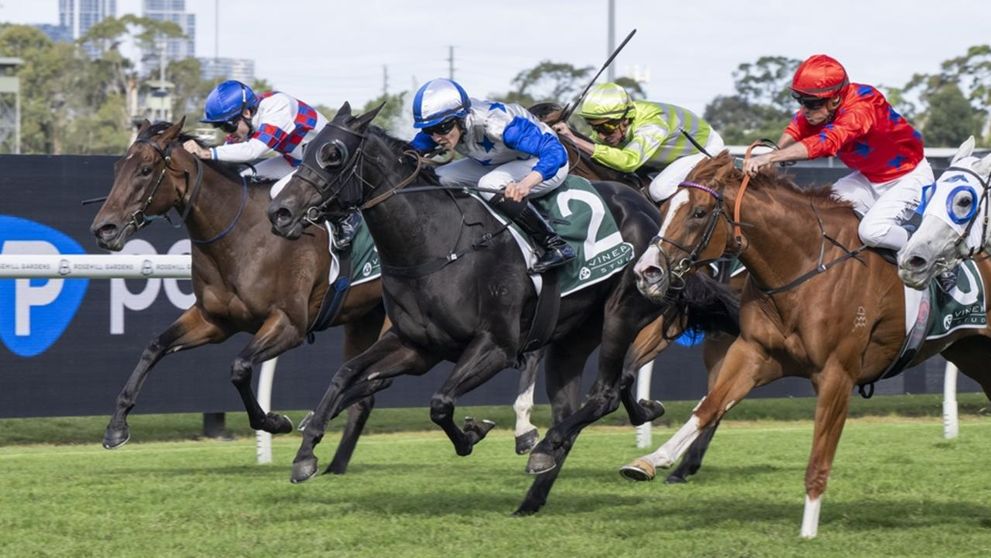 Belle Cheval (No.2) held on to the Group 1 Vinery Stud Stakes in the stewards’ room. Picture: Bradley Photos