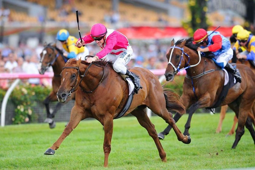 New Years Horse Racing Tips & Best Bets [January 1, 2024]