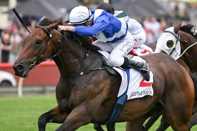 Memsie Stakes: Runner-by-runner analysis and tips