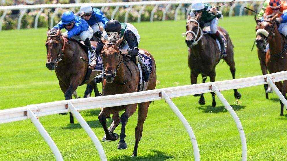 From debut to Diamond? Hayes boys contemplate seven-day Kick