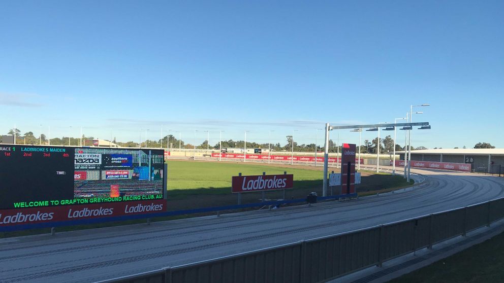 IT is 80 years exactly since the immortal Chief Havoc won the Easter Maiden at Grafton, launching a race and stud career few can match.