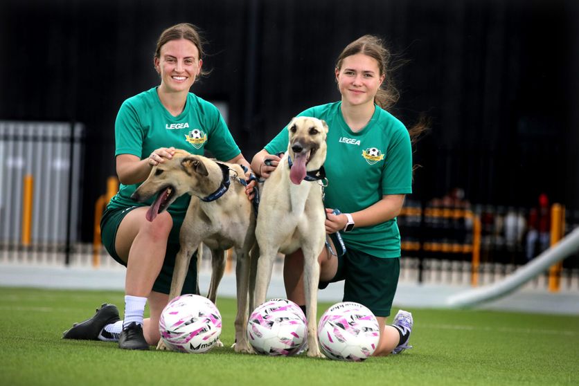 GAP Right Behind Mikaylah's Deaflympics Bid Greyhound Recorder(02)