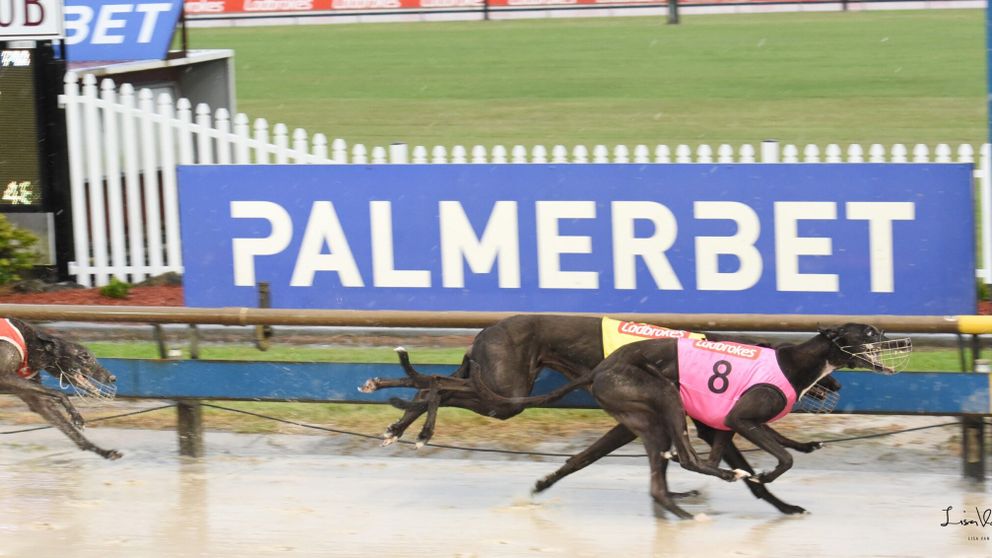 FRIDAY afternoon’s Casino meeting will mark a major milestone, with the Northern Rivers club celebrating 90 years since the club's first meeting.