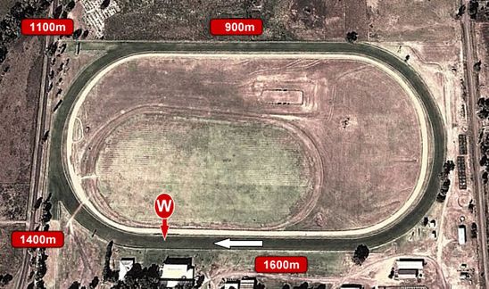 Wellington Racecourse - Form Guide, Track Map & Results