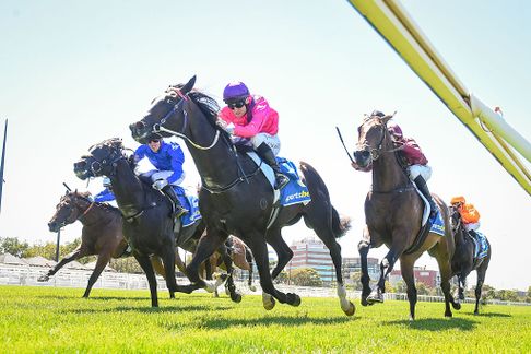 Blue Diamond Preview (C&G) 2026 Tips & Betting - Racenet