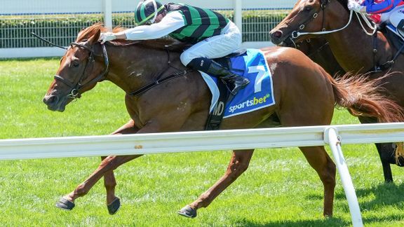 Pointsbet horse racing dashboard