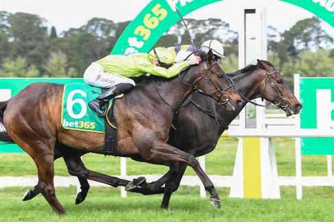 Kyneton Tips and Best Bets - Thursday, October 8