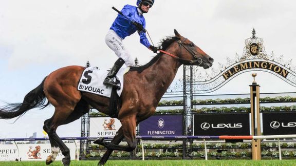 Pointsbet Horse Racing Betting Interface