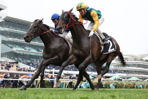2026 Cox Plate tips - runner-by-runner form Preview