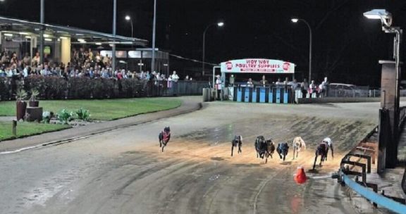 Hey Pretty Greyhound - Form, Stats & News