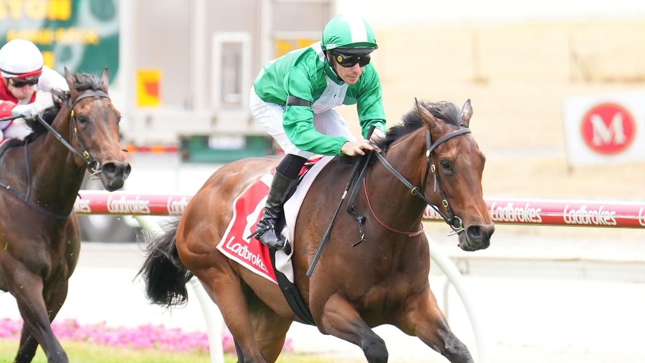 Clinton Mcdonald Racing Clinton McDonald chasing slot in new Magic Millions race with exciting ...