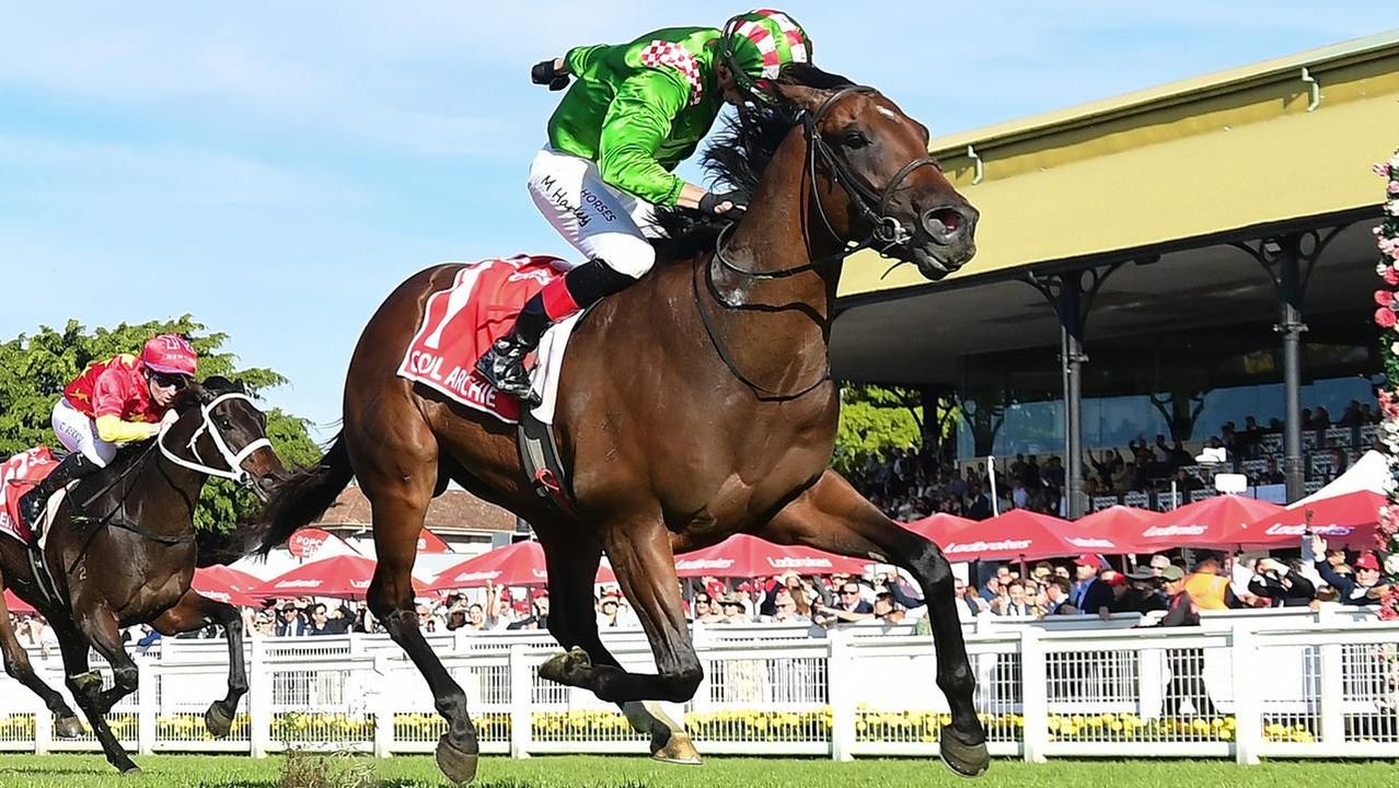 Cool Archie subject of ‘huge offers' from studs after JJ Atkins