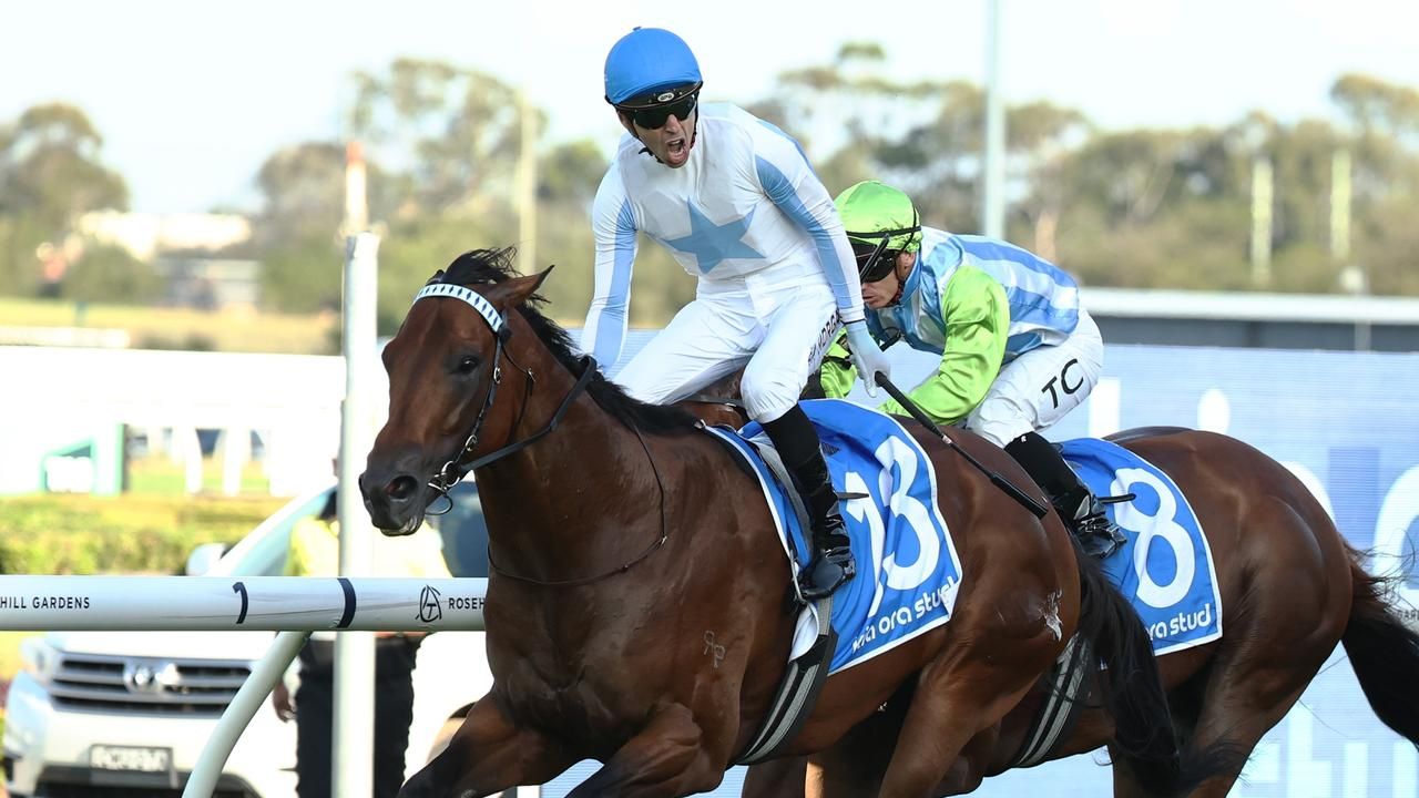 Bulked-up unbeaten sprinter Private Harry to unveil new silks in The ...