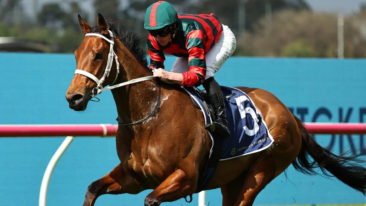 Final field and barriers for Group 1 Manikato Stakes at The Valley