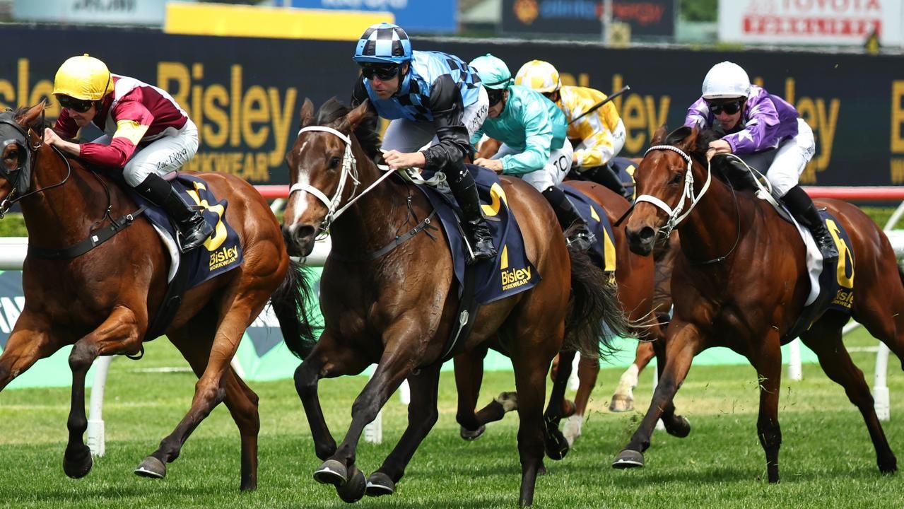 2026 Vinery Stud Stakes Field