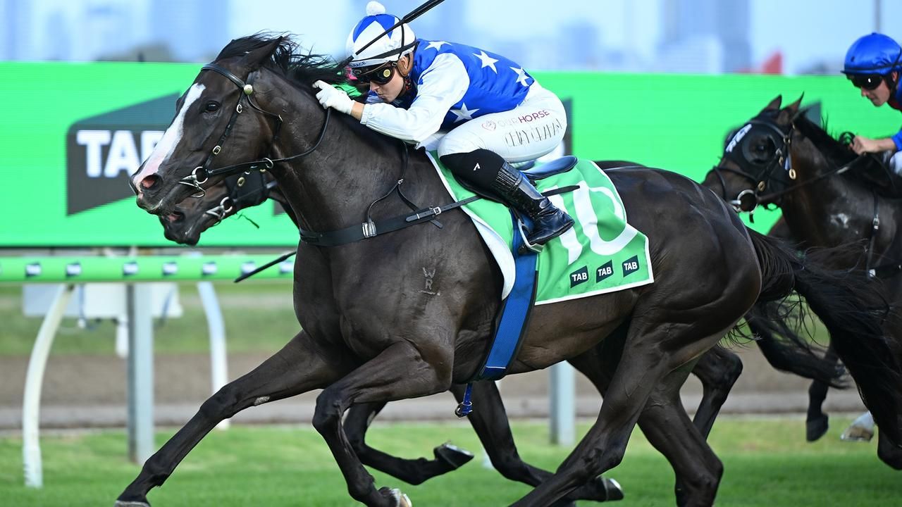 Cejay rides Wave of emotion on Schweida's Miss - Racenet