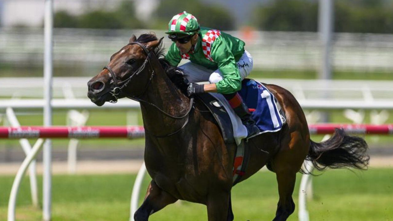 ‘He could have been anything': Star colt Cool Archie retired