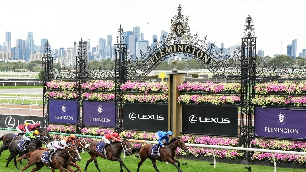A view of a PointsBet interface showcasing horse racing markets