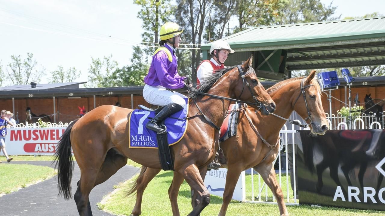 Muswellbrook Monday: Tips and preview