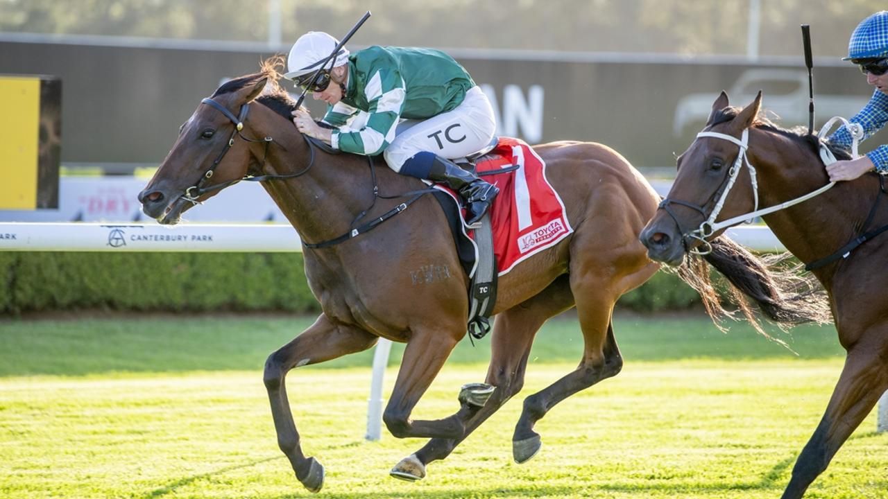 Heavy test looms but pedigree points positive for Seib pair at Gosford