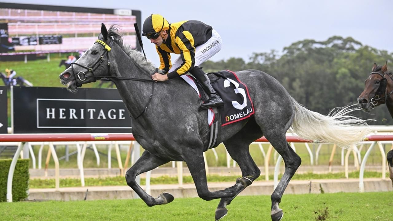 Wet track makes Gosford start the Easiest Choice