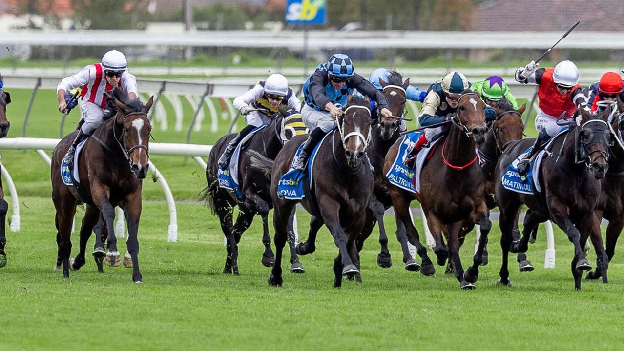 Adelaide carnival puts SA racing back in national spotlight