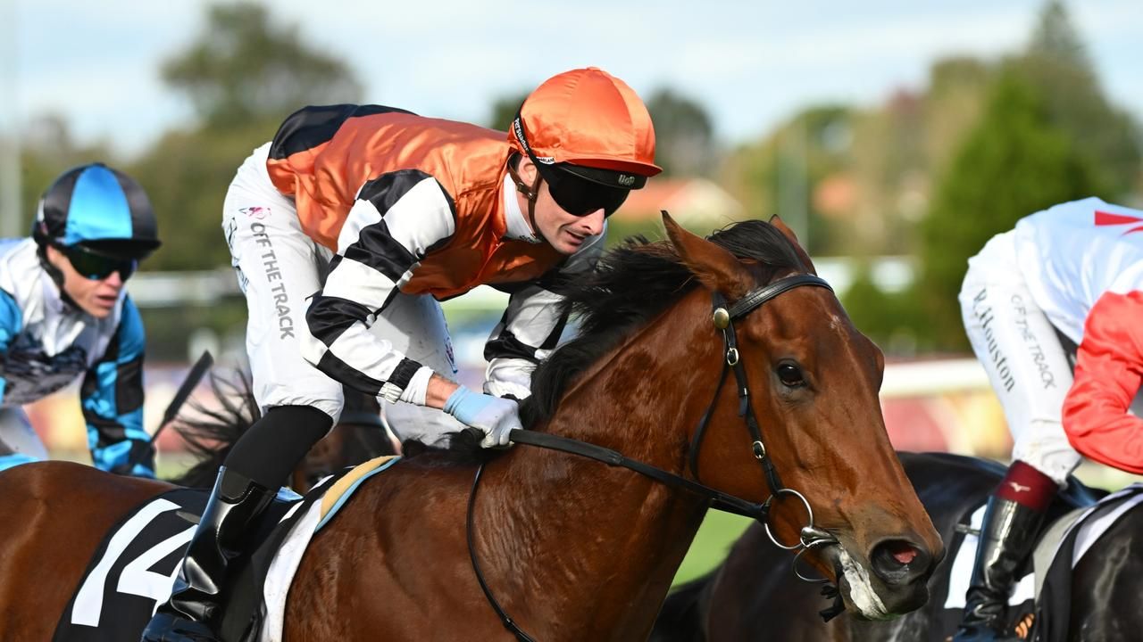 House that Baza bought: Southey dreams of stakes breakthrough