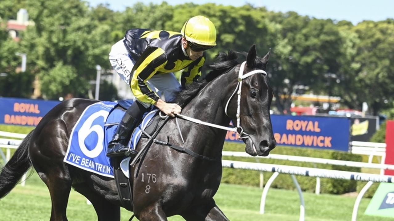 Tryin' conditions just perfect for $23 Rosehill roughie