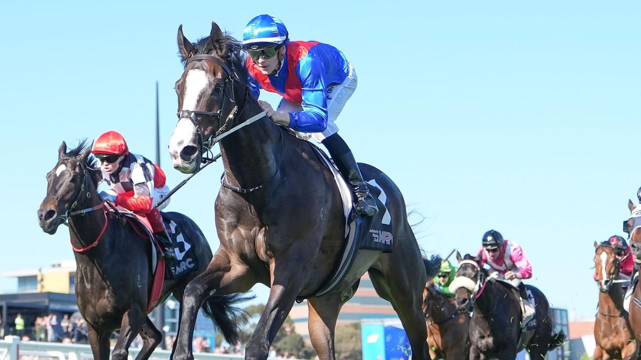 Zambardo's Q22 hopes ride on Rosehill performance