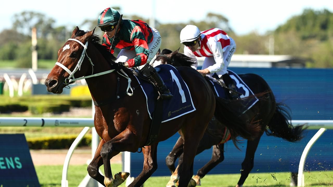 Tron Bolt surges to JJ Atkins favouritism with classy win