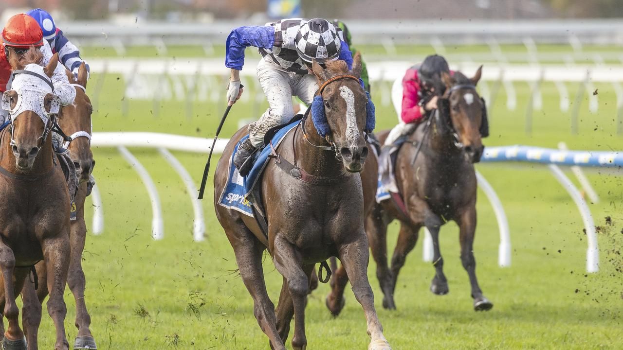 Doudle, Golden Horizon defy the odds again