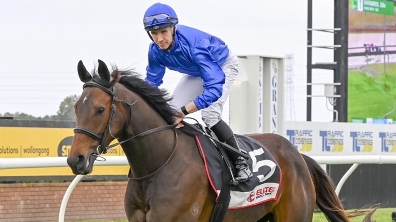 No Tragedies beaten this time at Kembla - Racenet