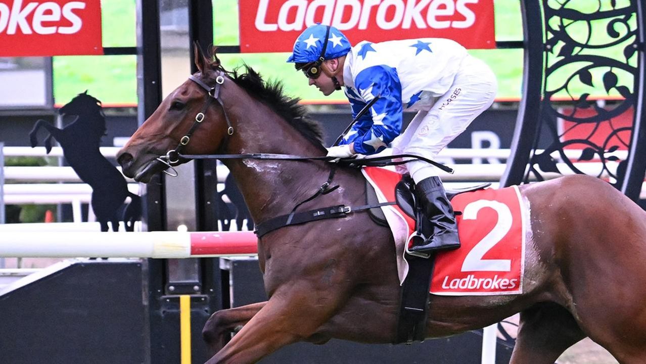 'Last throw at the stumps': Gollan sprinter well-backed for Stradbroke berth