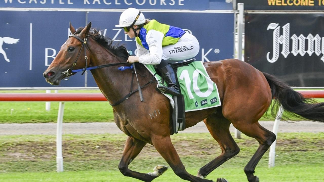 Newcastle preview: Minervini's Star to shine bright again