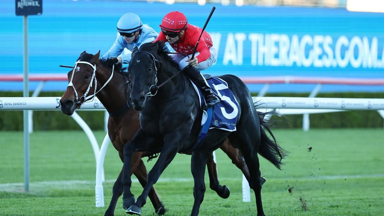 Archibalds' improver puts on another impressive Display