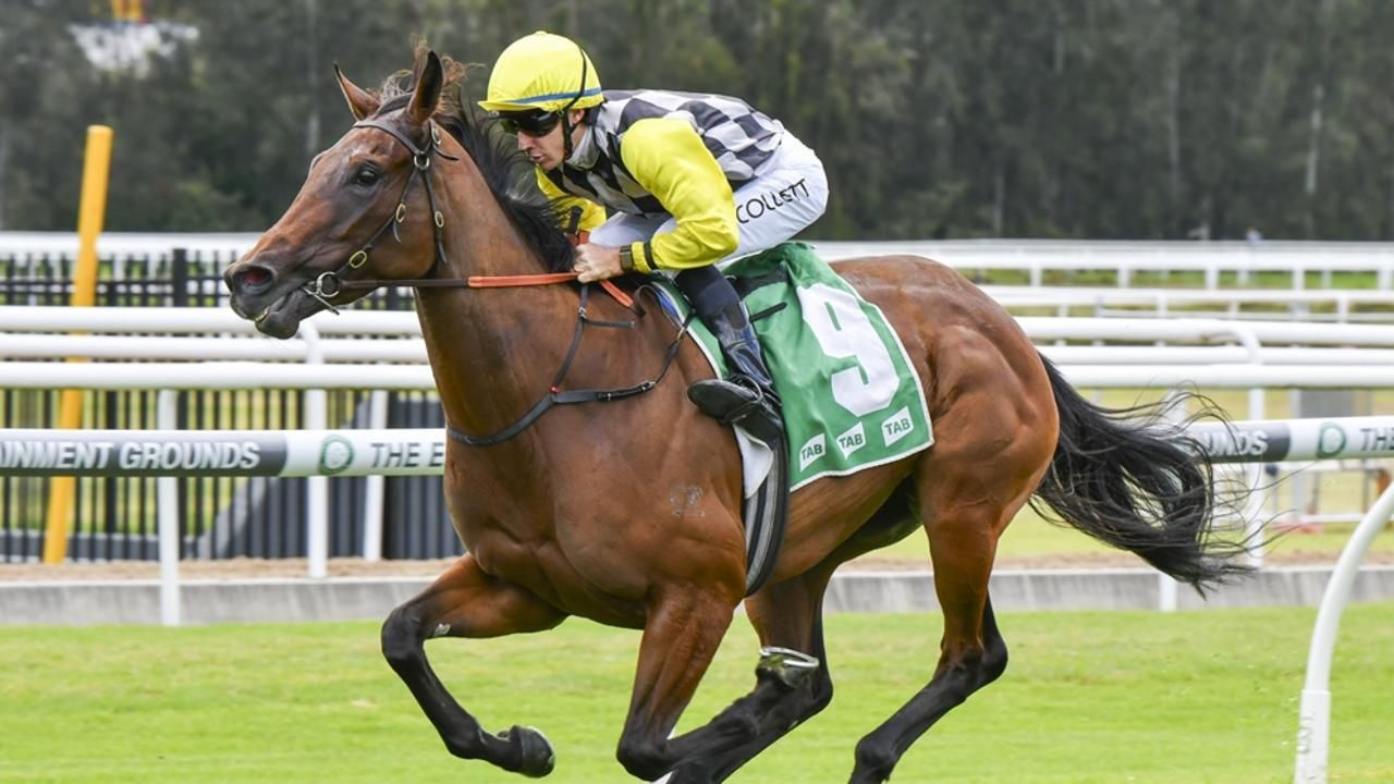 Jarrito ready to bounce back from double whammy