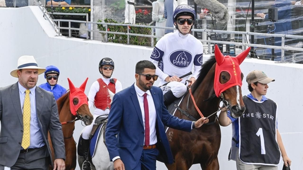 Baker lays down the Law for Stradbroke day