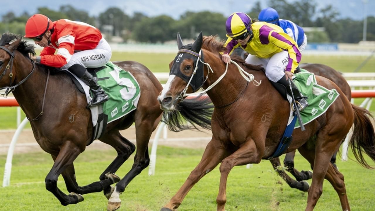 Gosford, Casino previews: Connors keen on Jonson to strike