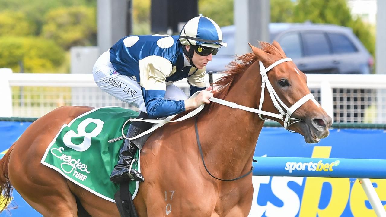 Ex-Waller filly to debut for Yeomans at Sandown Hillside