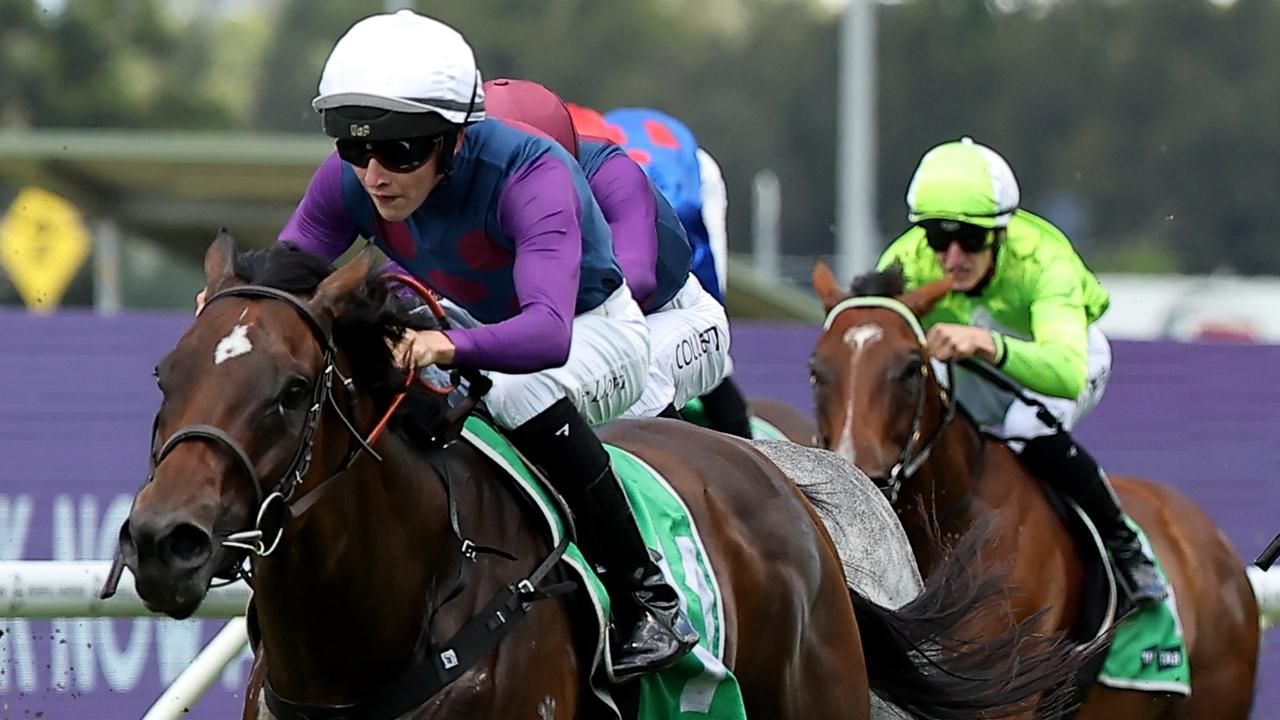 Another Highway is Within reach for Williams duo