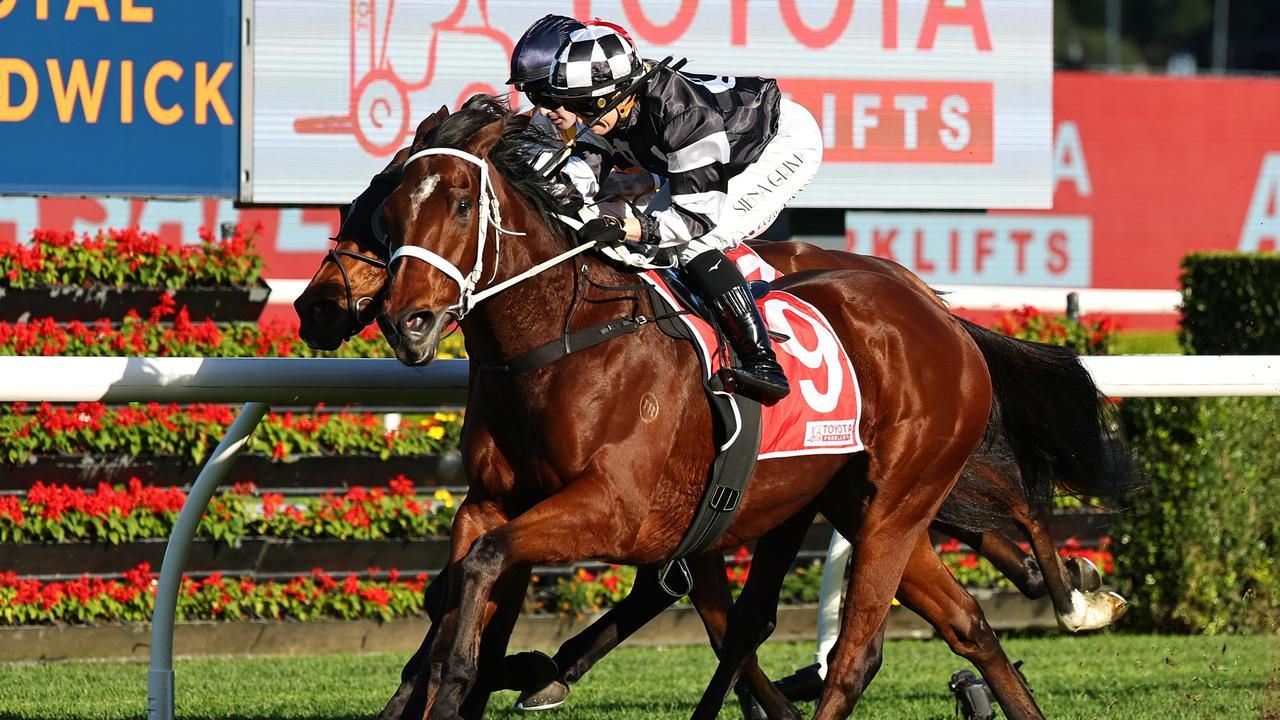 Tazima keeps Grima in apprentice title hunt