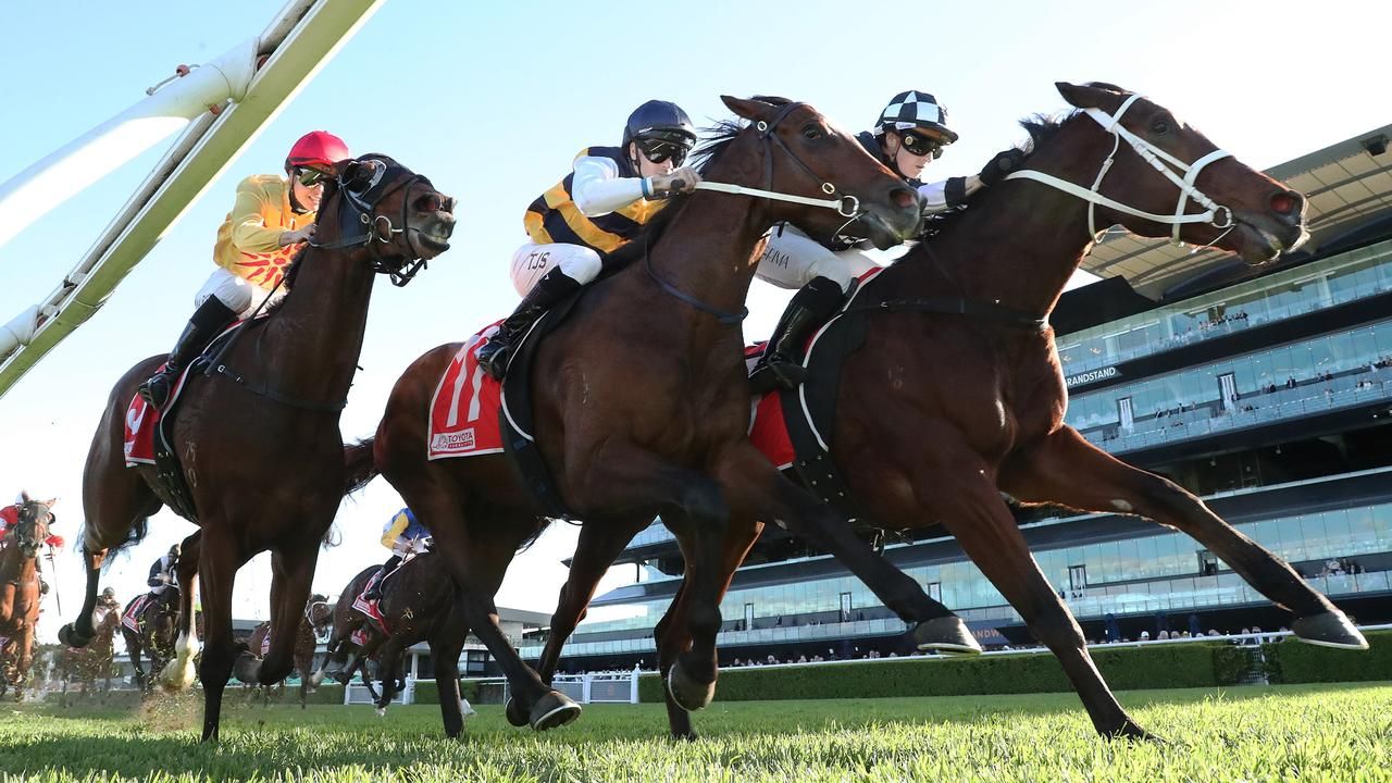 Mitch Cohen's Blackbook: Five to follow from Randwick
