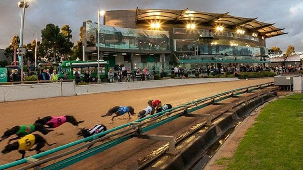The Meadows Tips, value plays - Saturday June 27