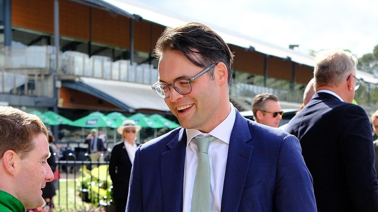 'Over the odds': Freedman filly at Attractive price on home turf