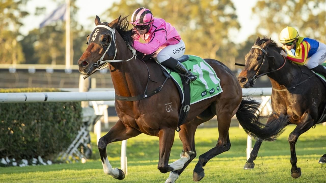 Canterbury preview: Zale out to defy Heavy track