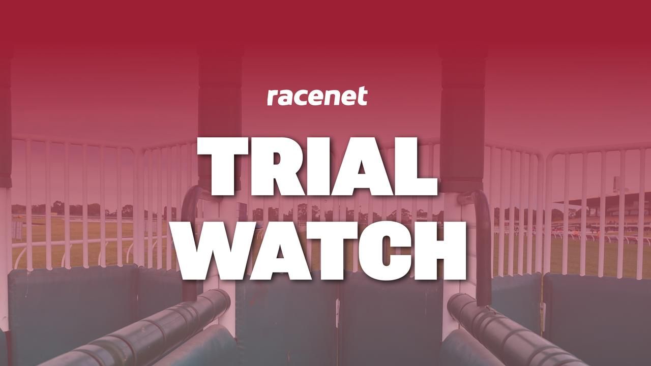 Five horses to follow from this week's NSW barrier trials