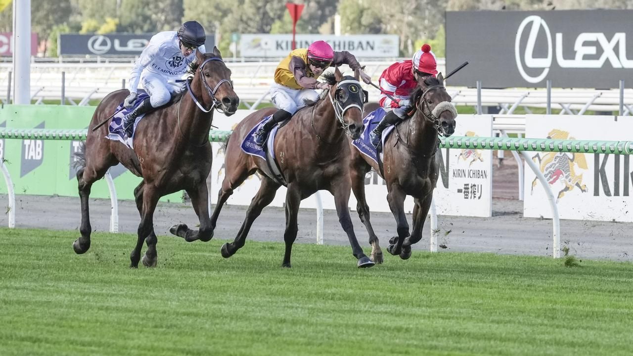 Odds-on favourite 'vulnerable' in thin Byerley field
