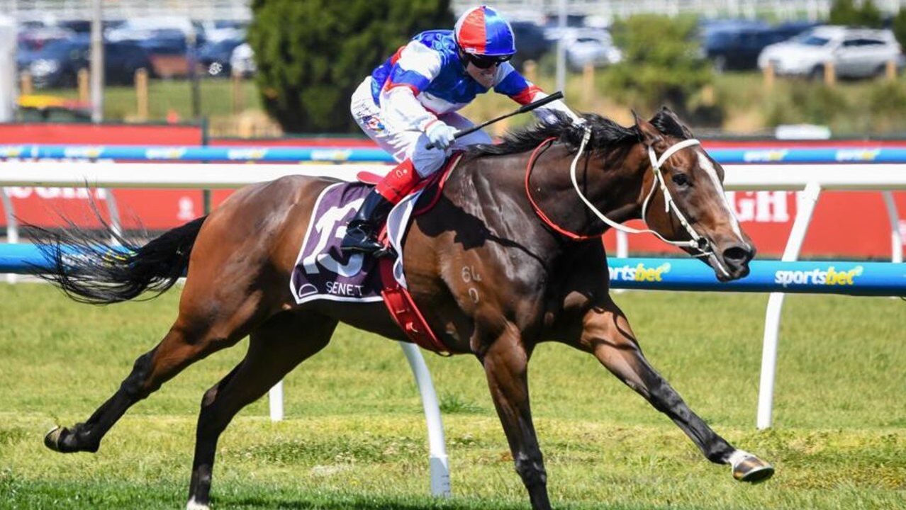 Ruddy to continue ascension with stakes-winning mare at Rosehill