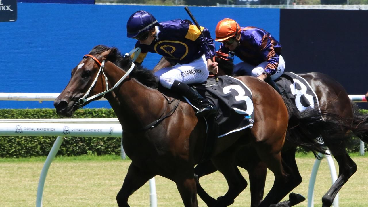 Canterbury preview: Pier Pressure primed to turn the tables